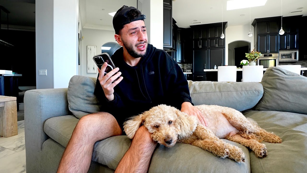 my dog has cancer.