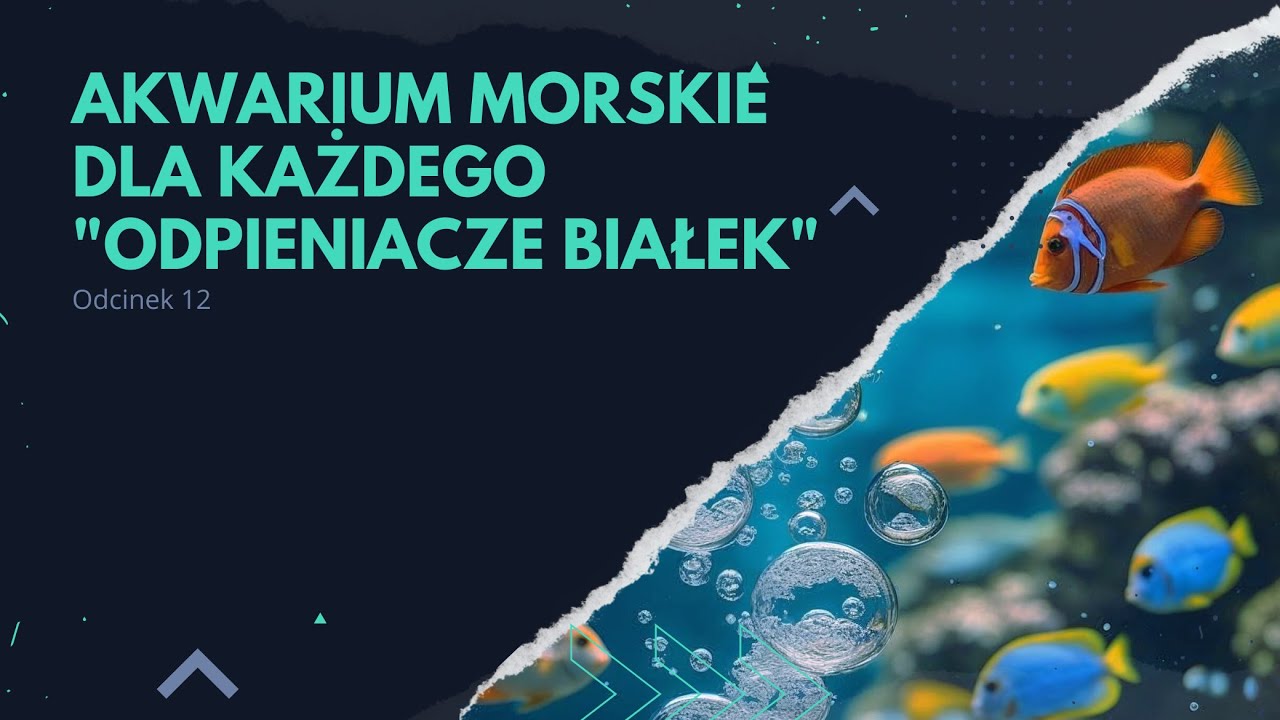 12. Akwarium morskie dla każdego 
