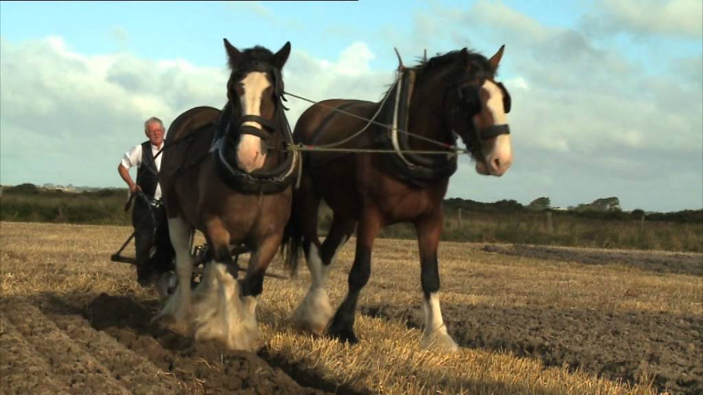 The Secrets of Ploughing - 'Ploughing for Dummies'