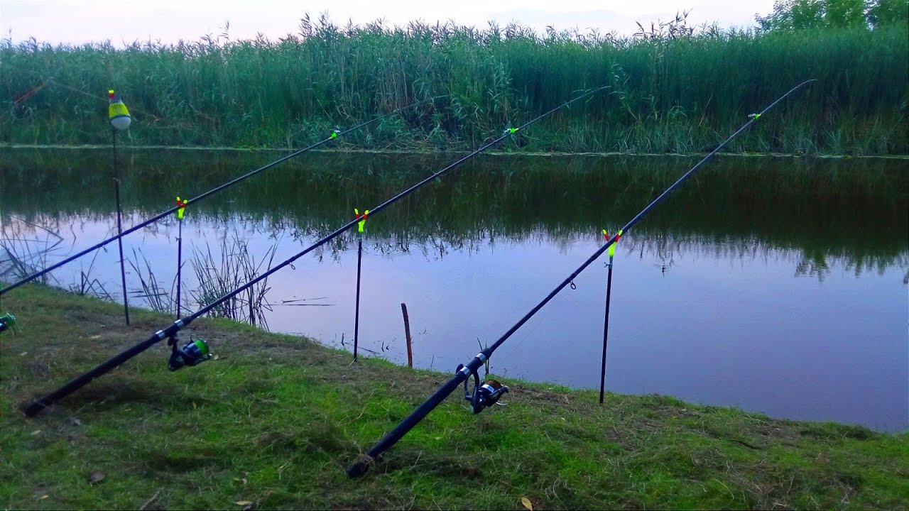 ЗАКИНУВ КОРМАЧКИ ПІД ОЧЕРЕТ І ПОЧАЛОСЯ. Рибалка на кормачки