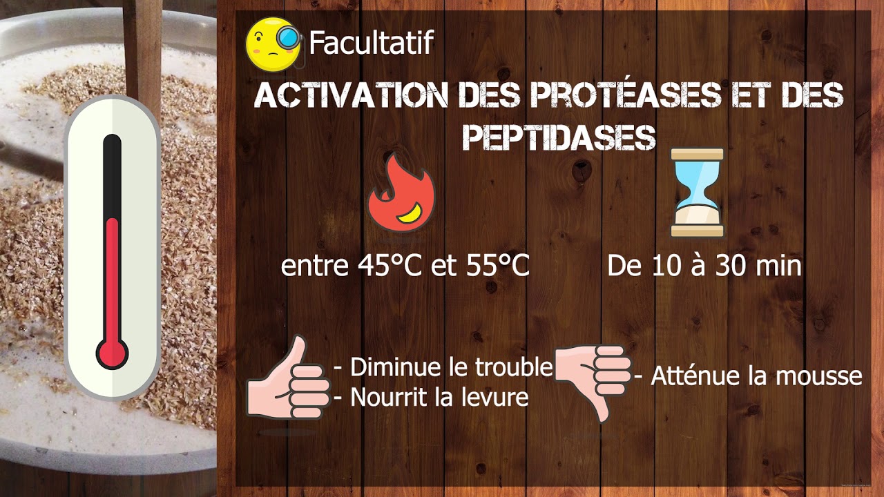 Les paliers de température - L'empatage  - brassage amateur en 