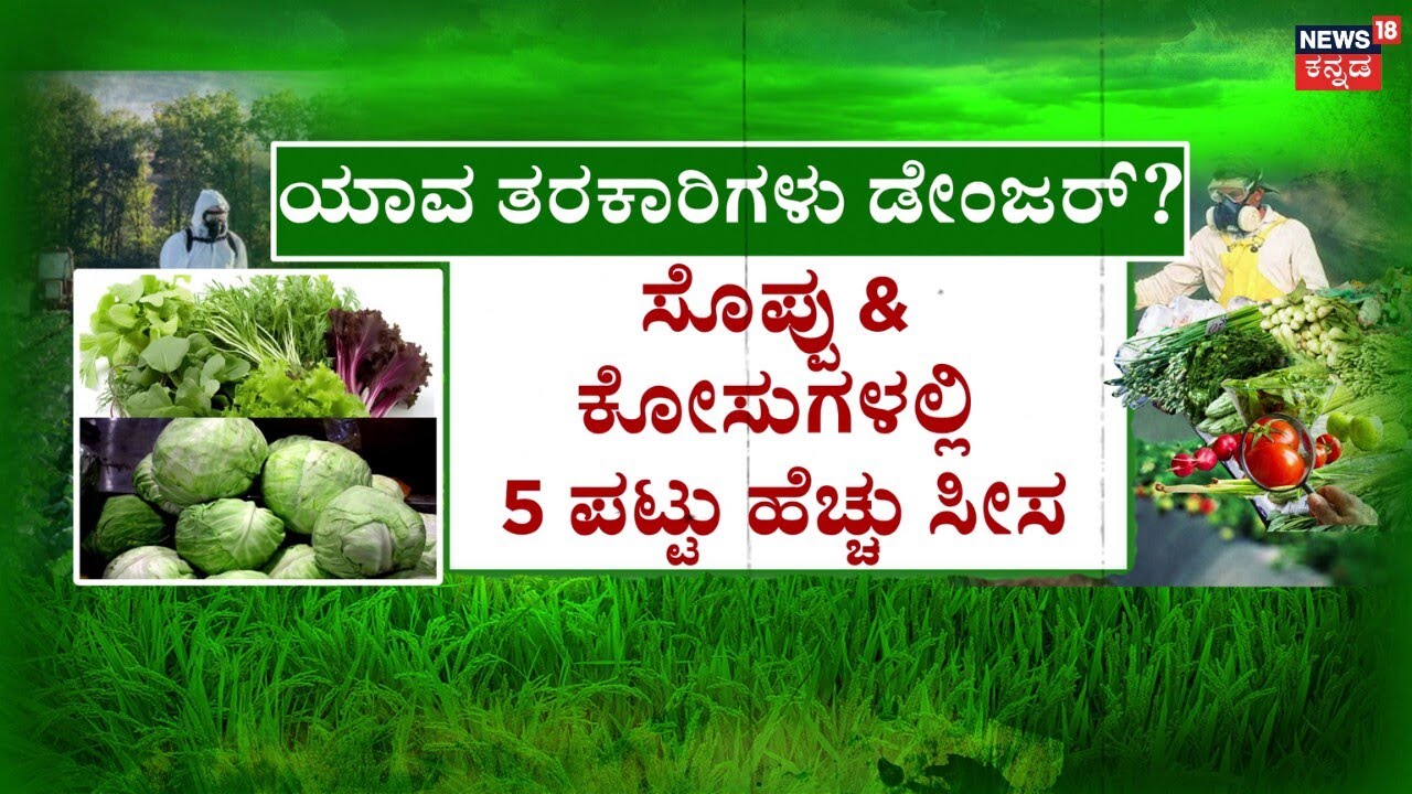 Chemical Presence in Karnataka Vegetables | ಉತ್ತಮ ಆರೋಗ್ಯಕ್ಕೆ ತರಕಾರಿ ಆಗ್ತಿದೆ ಕಂಟಕ!?