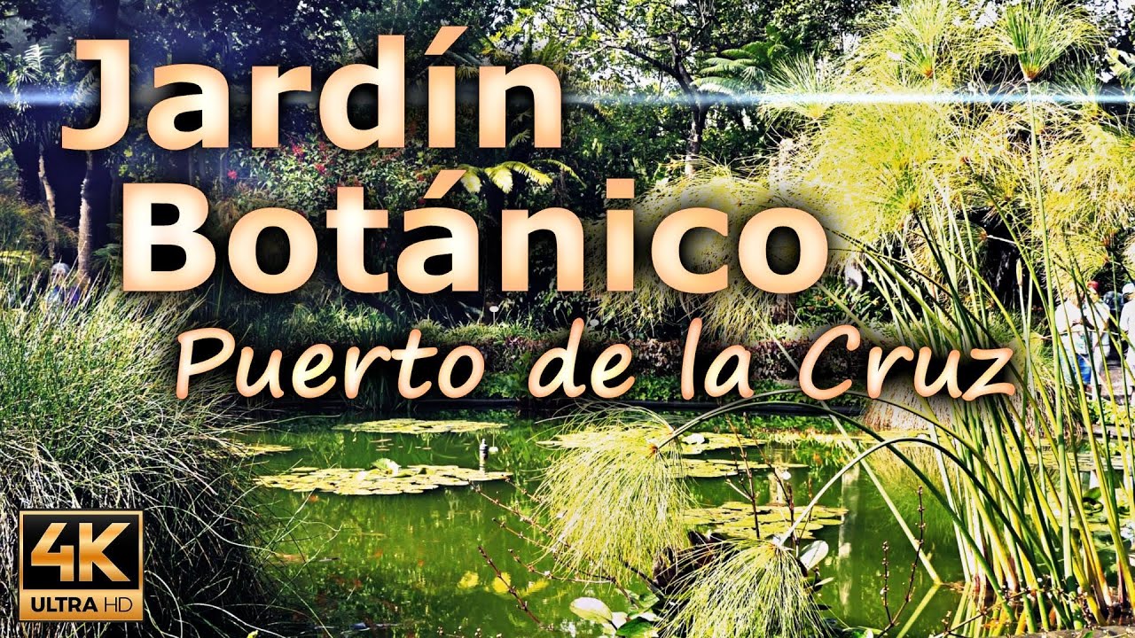 Jardín Botánico in Puerto de la Cruz, a beautiful botanical garden / Tenerife, Spain / 4K