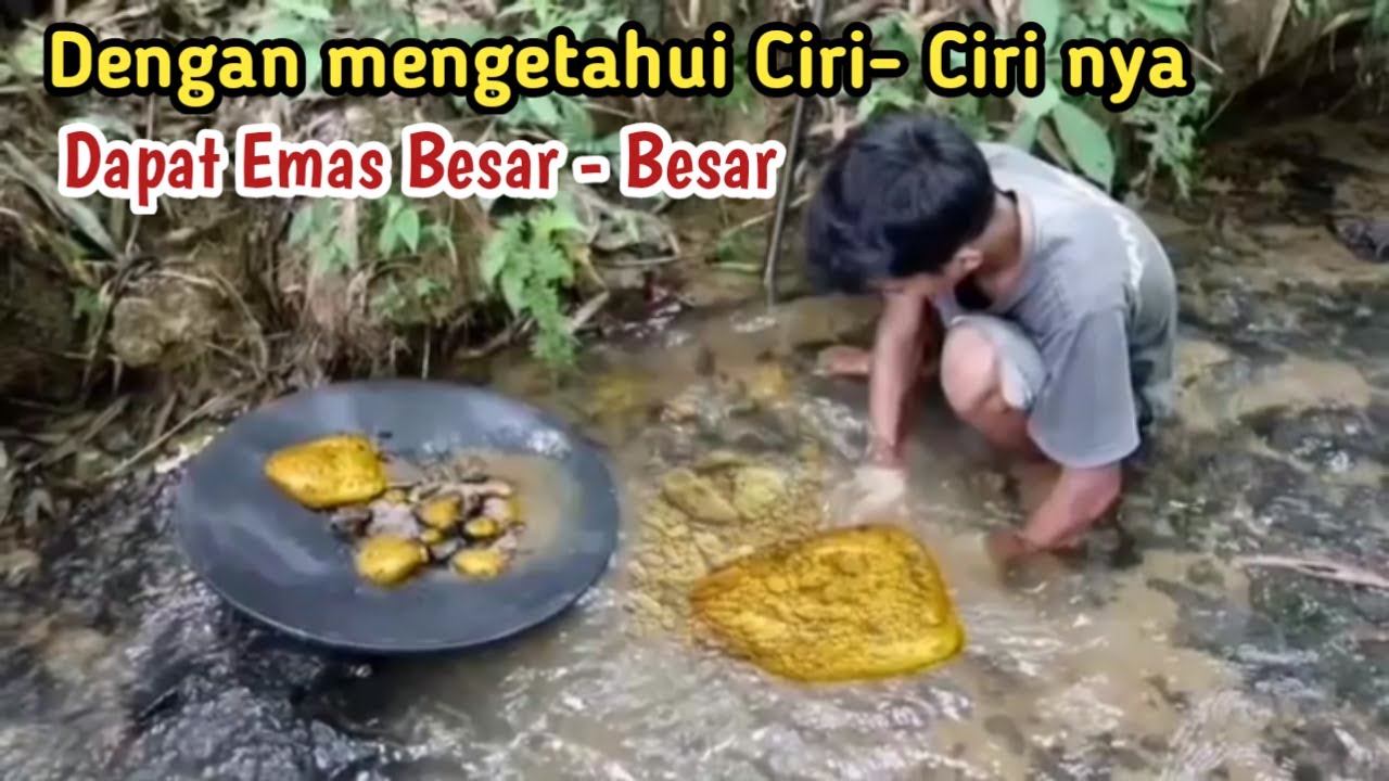 *Cara mengetahui sungai yang ada emas nya || atau Ciri- ciri sungai yang mengandung emas.