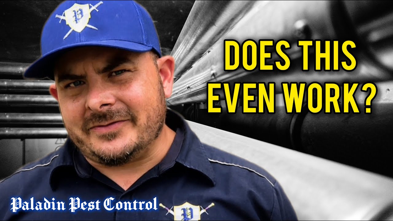 Do In-Wall Pest Control Systems Really Work?