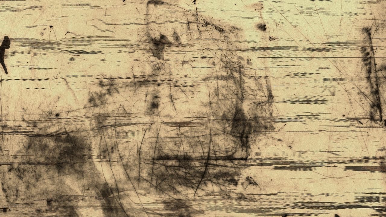 1881       xxx noiSe LooP xxx