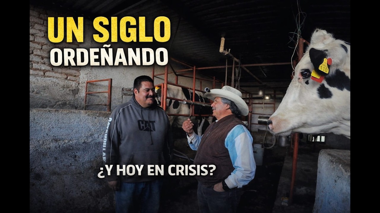 100 AÑOS PRODUCIENDO LECHE 🐄 | Historia Real de Vacas Holstein en Zacatecas #VacasHolstein