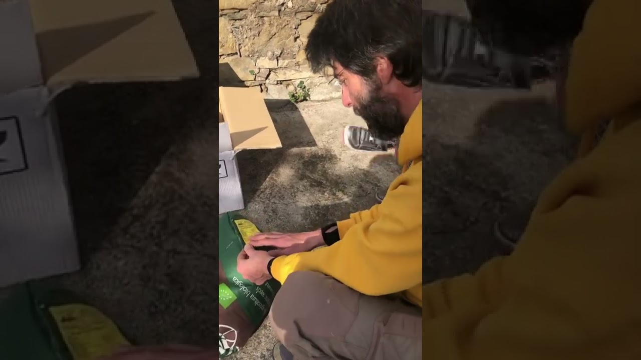 Le api sono in estinzione, ecco come Storie di Mieli ha scelto di sostenerle 🐝👍