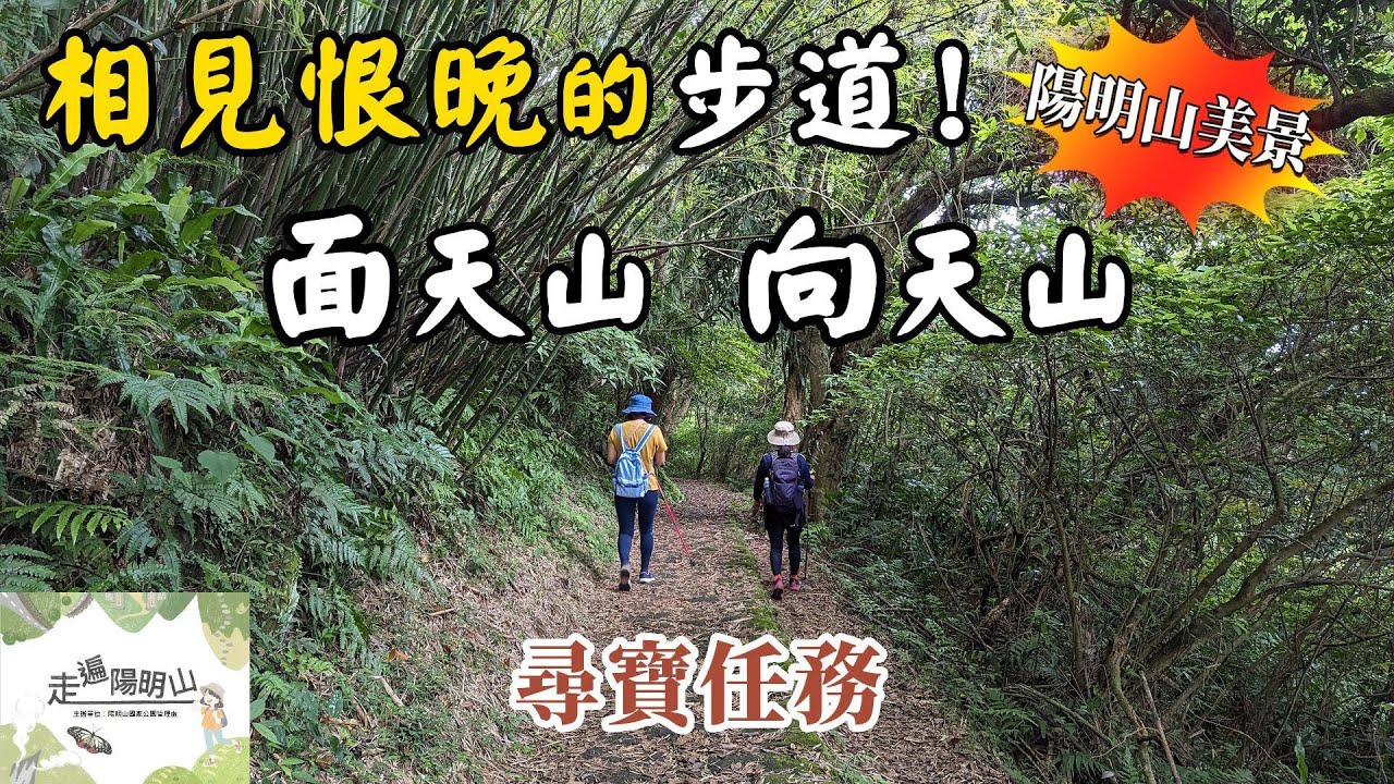 相見恨晚的步道 面天山向天山步道 環顧360度無死角的美景 走遍陽明山尋寶任務