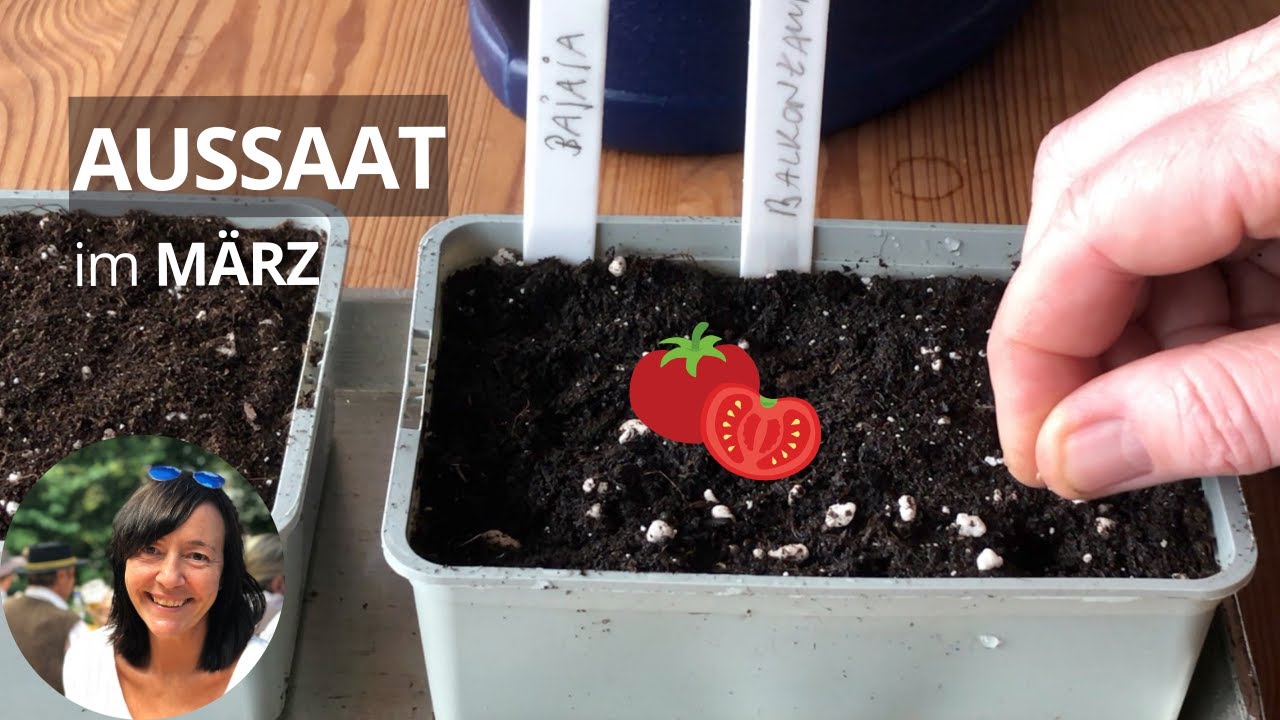 Aussaat im März - diese Kulturen säe & pflanze ich im März + Tipps zur Aussaat