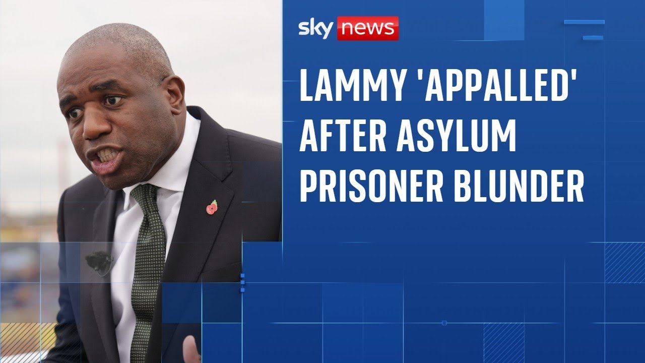 Deputy PM announces investigation into release of Epping asylum seeker sex offender