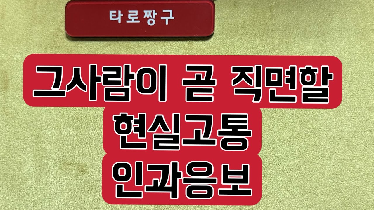 [타로짱구] 희망고문 없는 현실직시 타로