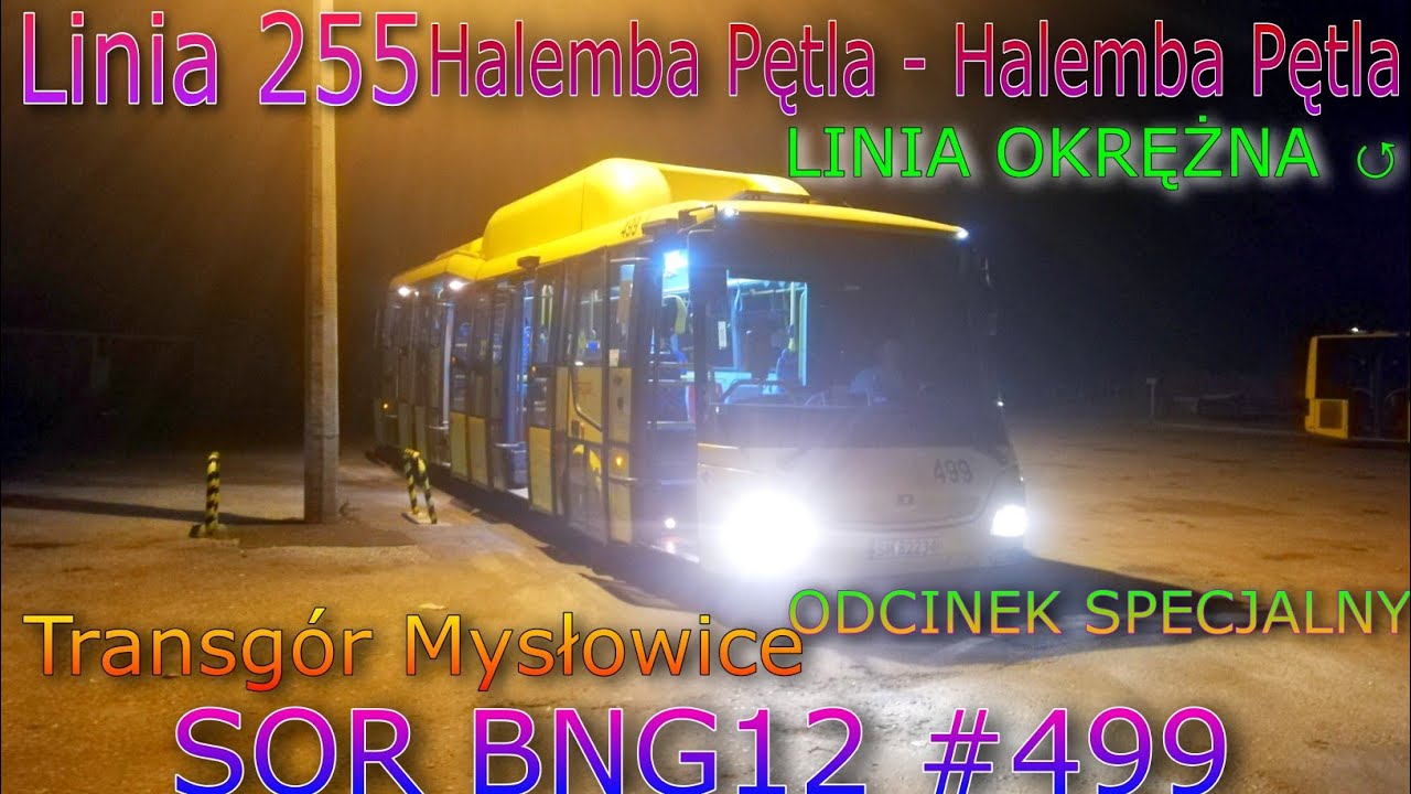 Transgór Mysłowice: Linia 255 Halemba Pętla - Halemba Pętla (SOR BNG12#499)