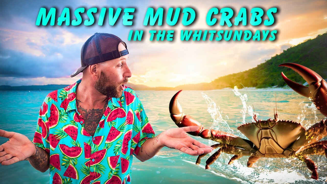 Sailing Whitsundays: Crabs, Skating & Shenanigans