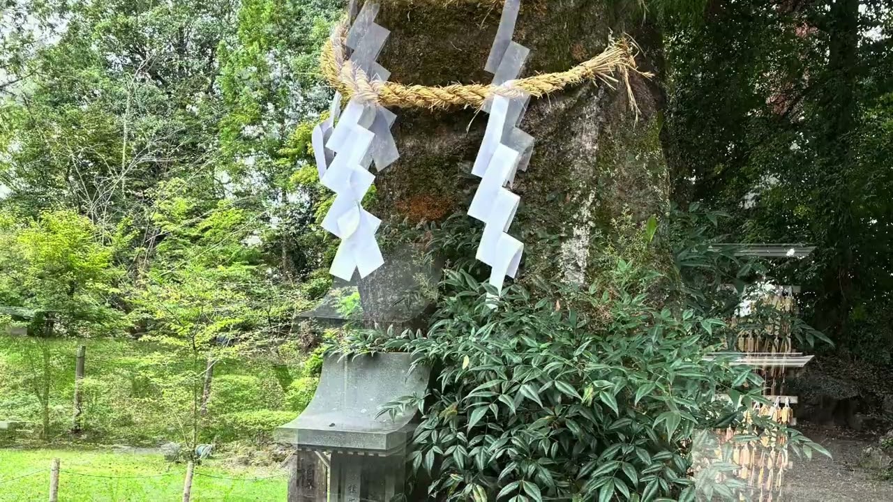 私の過去を振り返る。