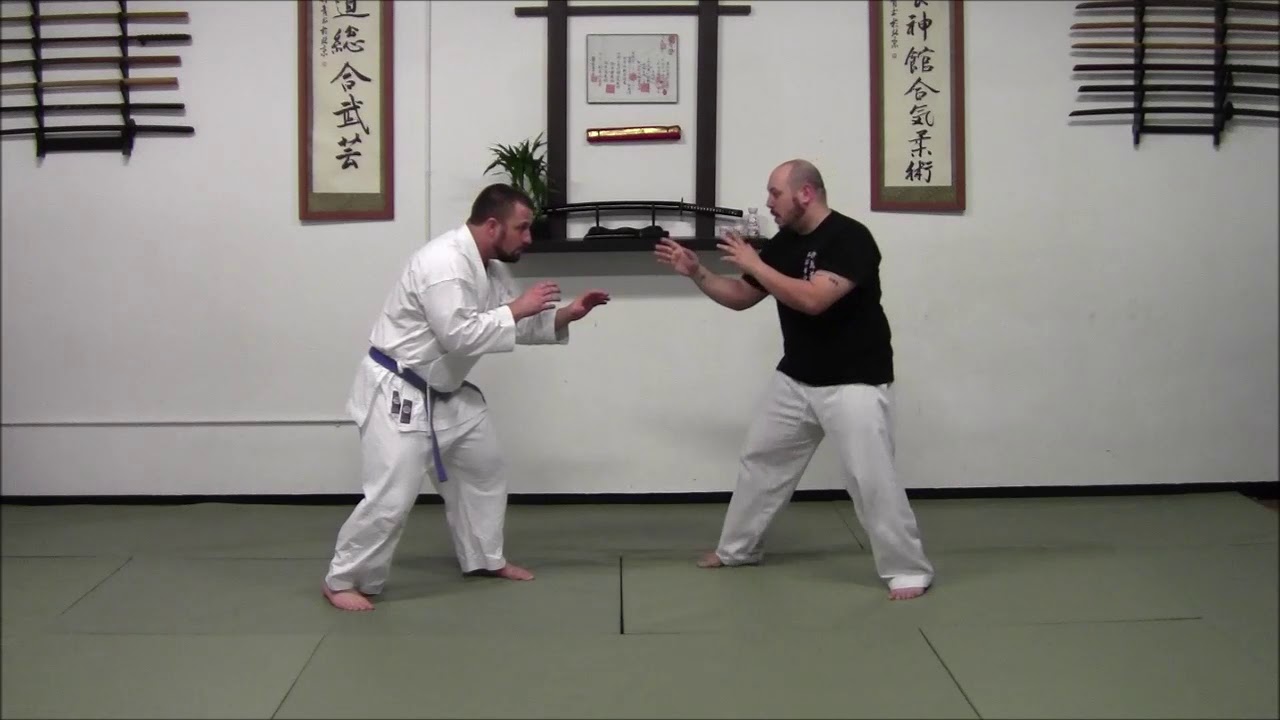 Fighting With Aiki - Kokyu Nage | American Yoshinkan Aiki Jujutsu