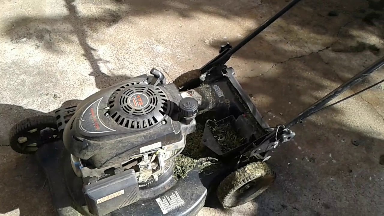 Harbor freight Predator mower engine review