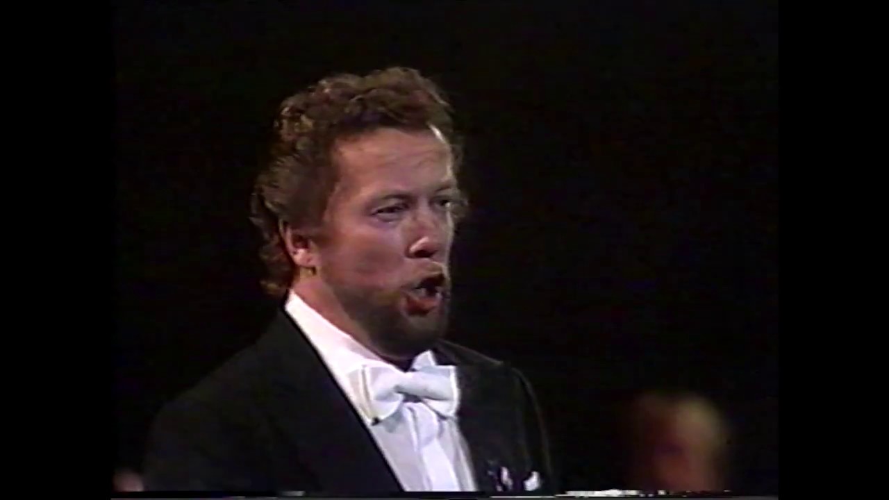 Peter Lindroos - Donna non vidi mai 1985