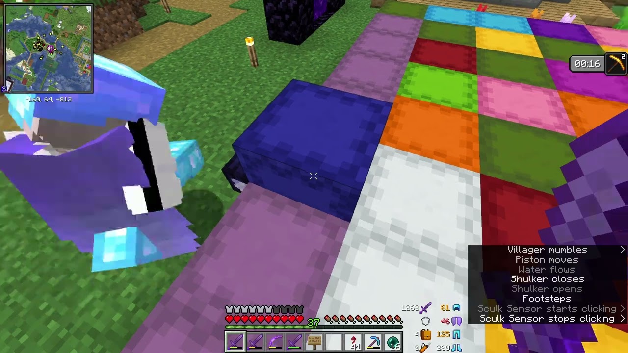 Aethel SMP: s3 wealth showcase