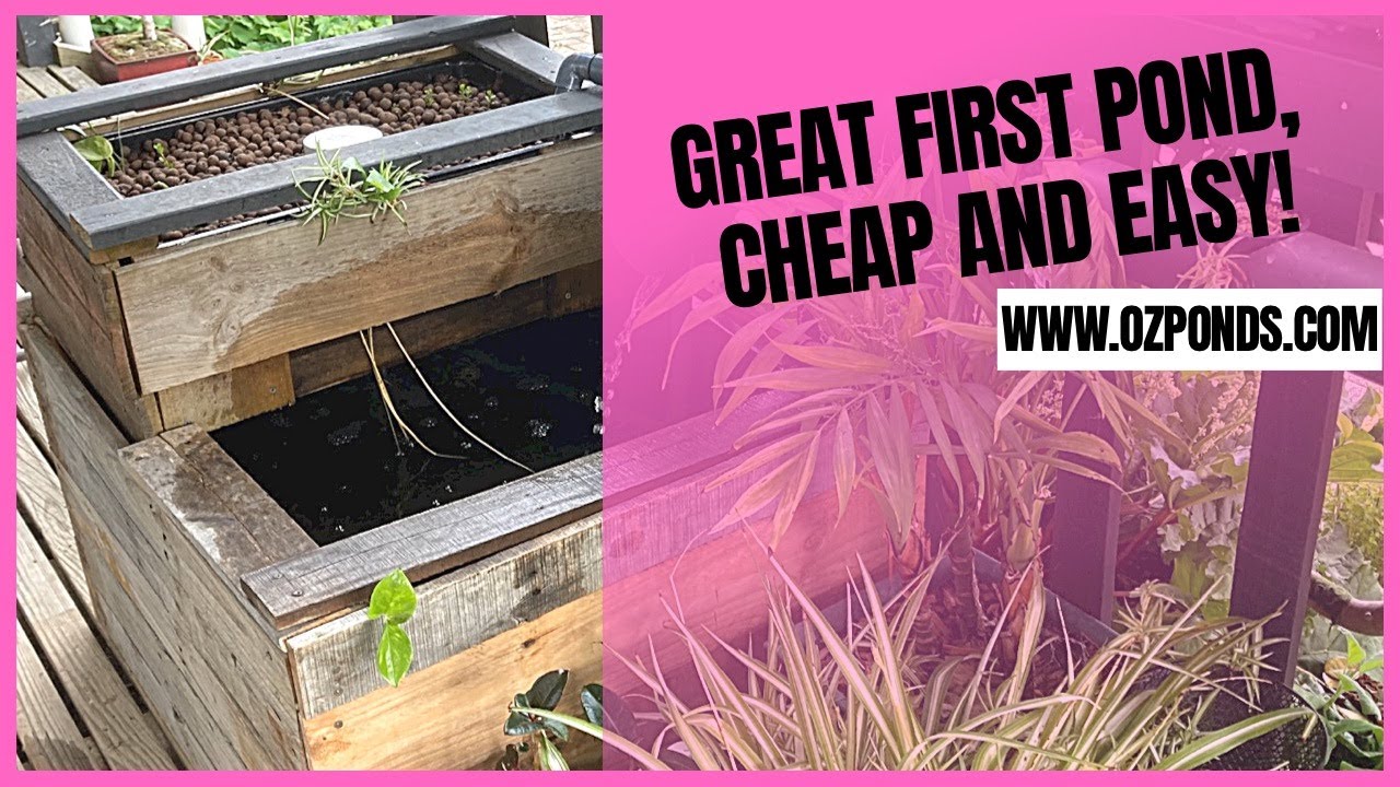 Building a container pond with bog filter