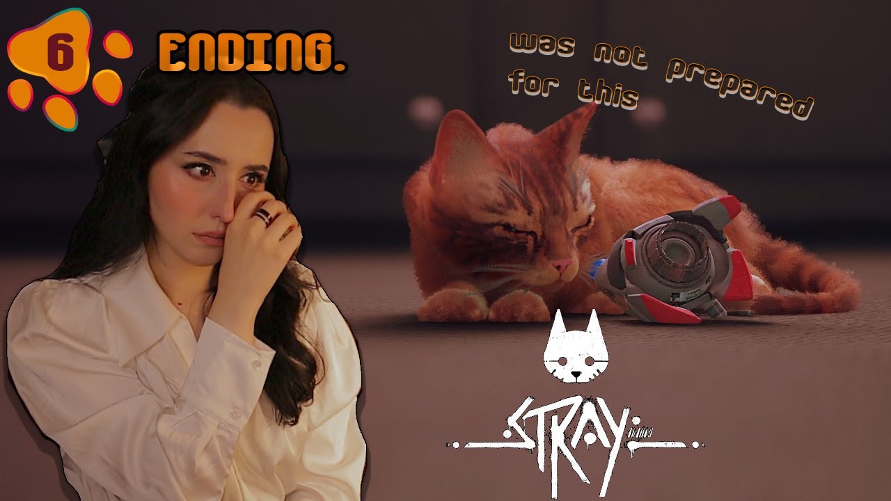 I'M CRYING - Stray Gameplay - Pt 6 ENDING