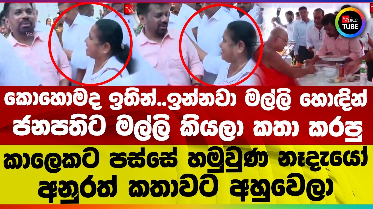 කොහොමද ඉතින්..ඉන්නවා මල්ලි හොඳින් ! I ජනපතිට මල්ලි කියලා කතා කරපු කාලෙකට පස්සේ හමුවුණ නෑදැයෝ