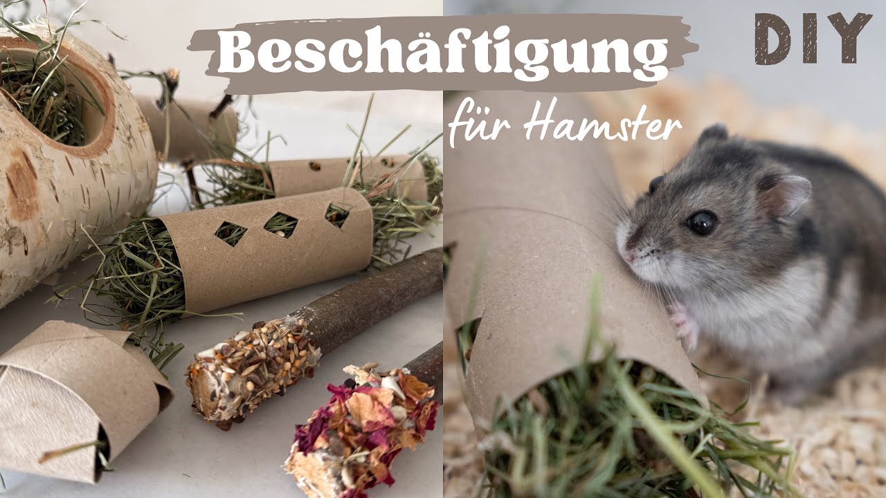DIY Hamster-Beschäftigung: Einfach & günstig selber basteln! 🐹 | Hamsterstübchen