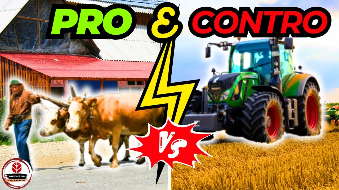 PRO e CONTRO | MINIMA LAVORAZIONE vs TRADIZIONALE