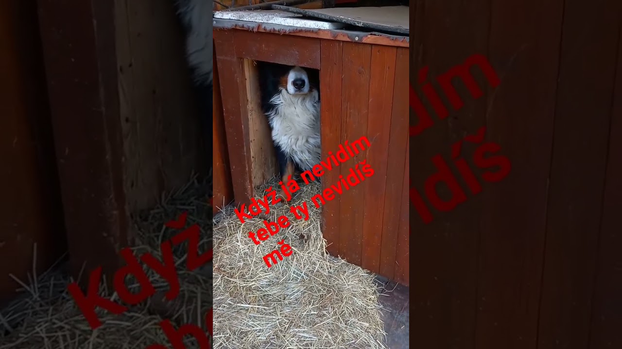 nečum na mě!