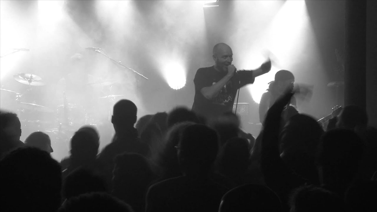 Live N'Guest Replay   LOFOFORA 