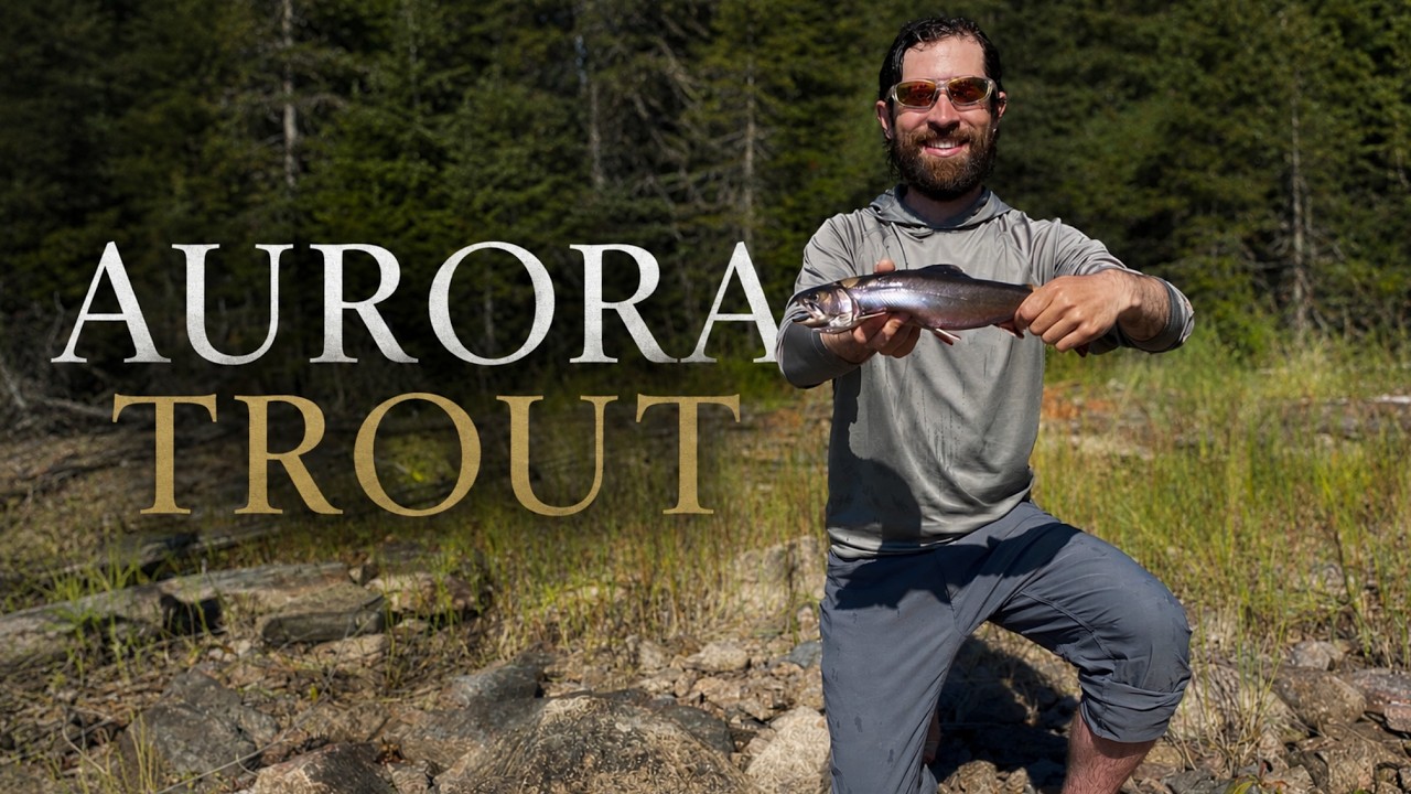 Ontario Fishing Adventure – Catching the Rare Aurora Trout