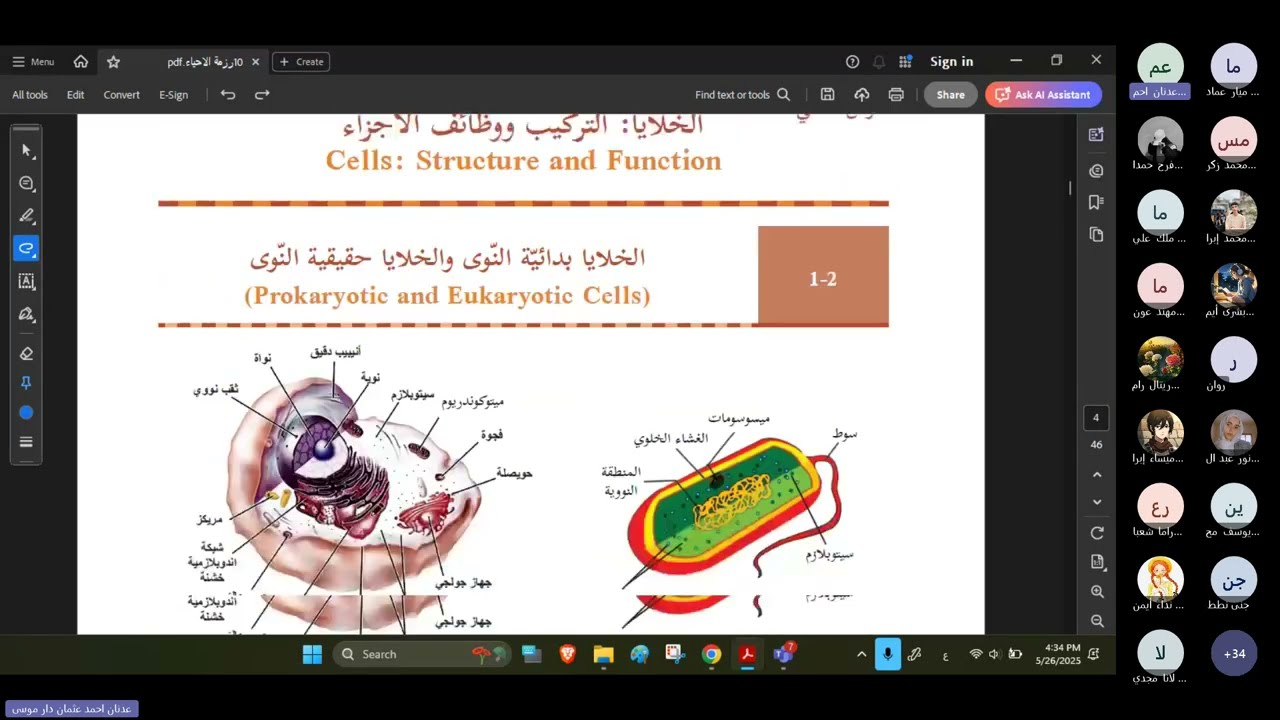 احياء العاشر حصة 1: المجاهر وانواعها