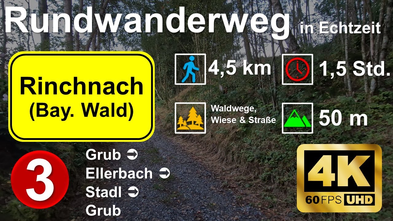 4K Rundwanderweg 3: Rinchnach Bay. Wald - Echtzeit Originalton - Länge 4,5 km - Wald, Wiese, Straße