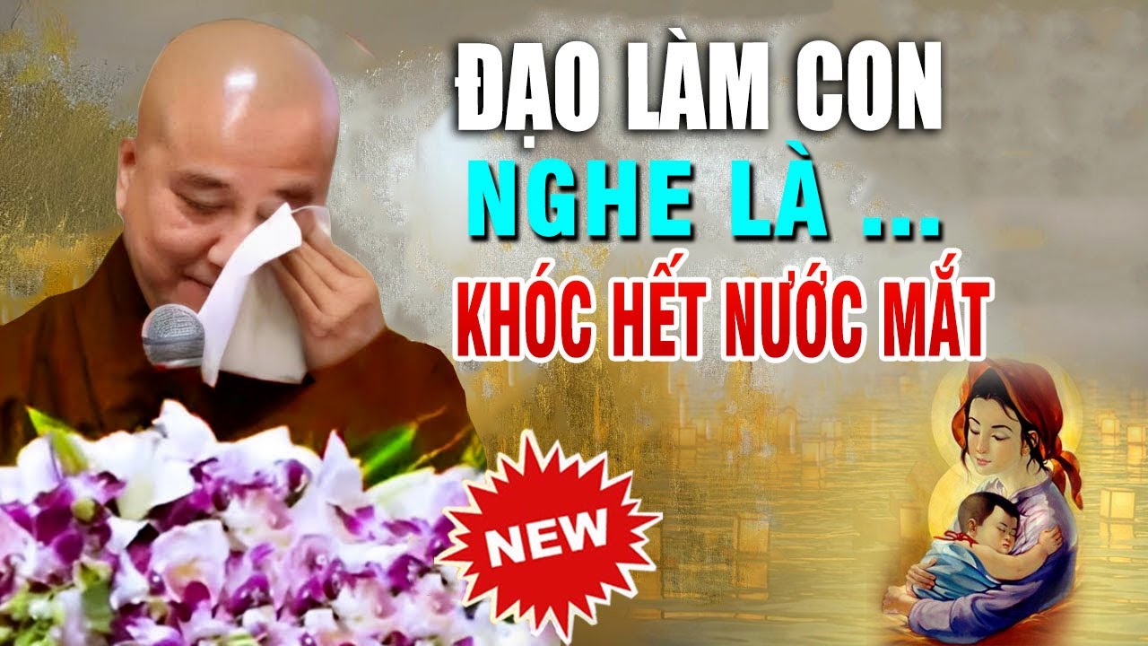 Bạn SẼ KHÓC Khi Nghe CÔNG ƠN CHA MẸ  _ Thầy Thích Pháp Hòa New 2024
