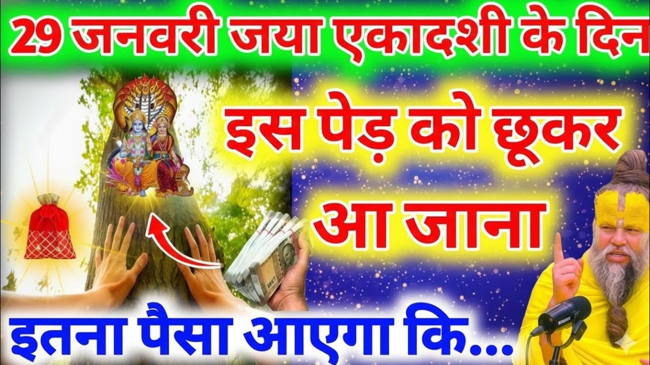 29 जनवरी जया एकादशी के दिन इस पेड़ को छूकर आ जाना मात्र 3 दिन के अंदर गरीबी होगी दूर #jayaekadashi​ 