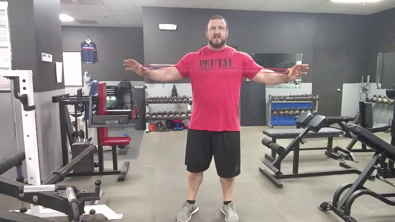 Brutal Iron Gym - Correcting Diastasis Recti - Pallof Rotations into Holds (see description)