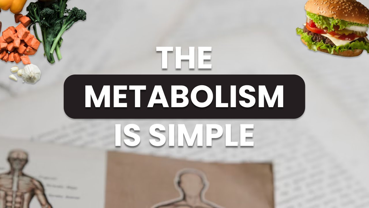 Your Metabolism Is Like Computer Programming