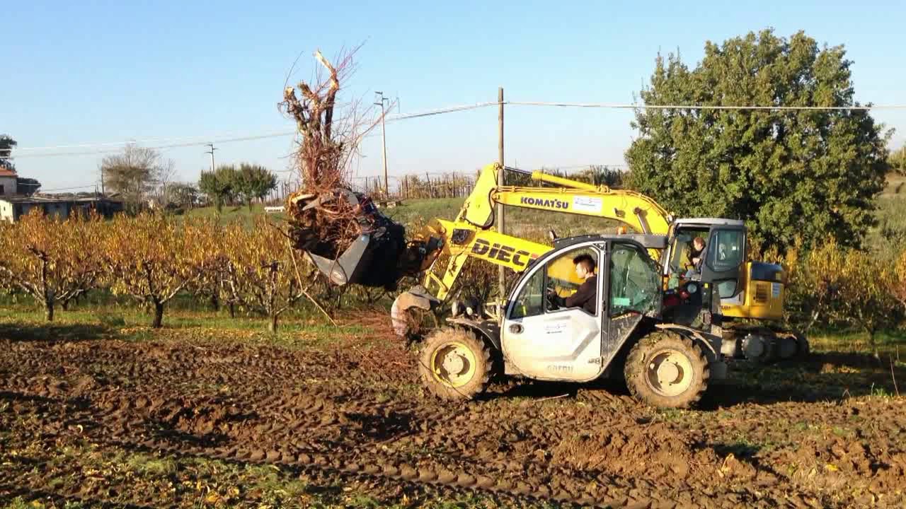 U.EMME Grapple Bucket on DIECI Apollo