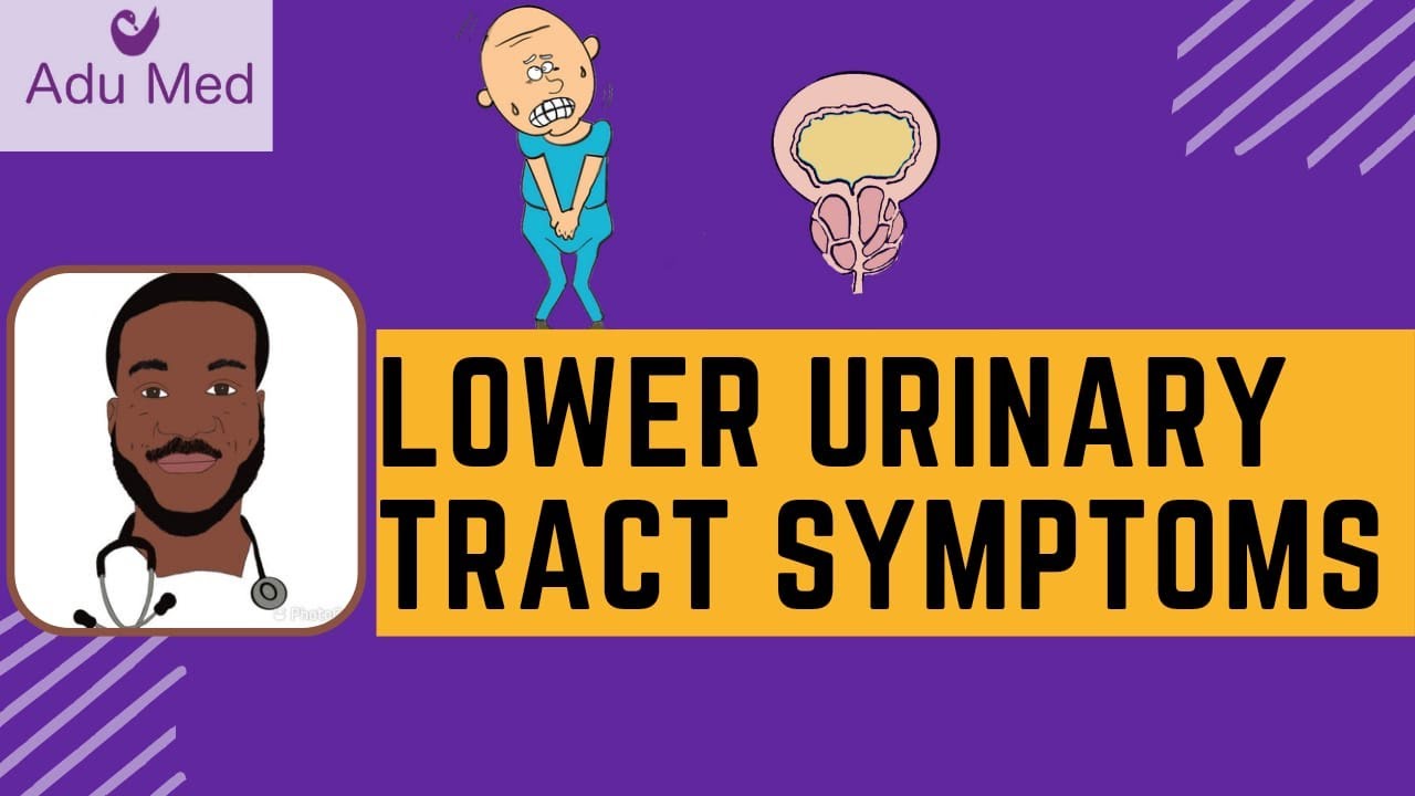 Lower Urinary Tract Symptoms (LUTS) in men | AKT revision for GP trainees