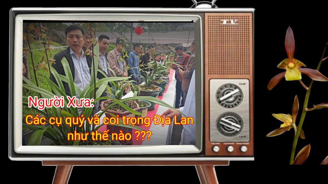 Người xưa Các cụ quý và coi trọng Địa Lan như thế nào ???