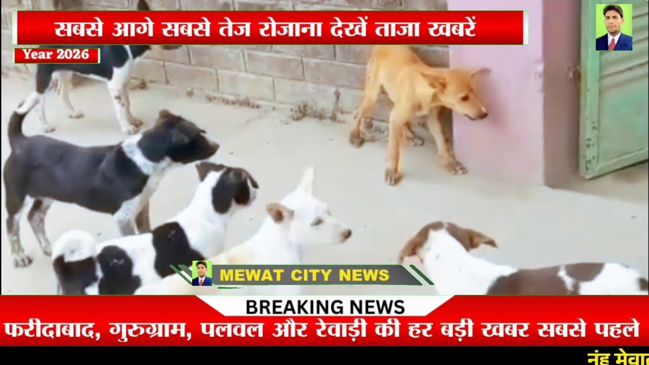 खेत से लौटती महिलाओं पर कुत्तों ने किया हमला, मेवात के  नई गांव की घटना 