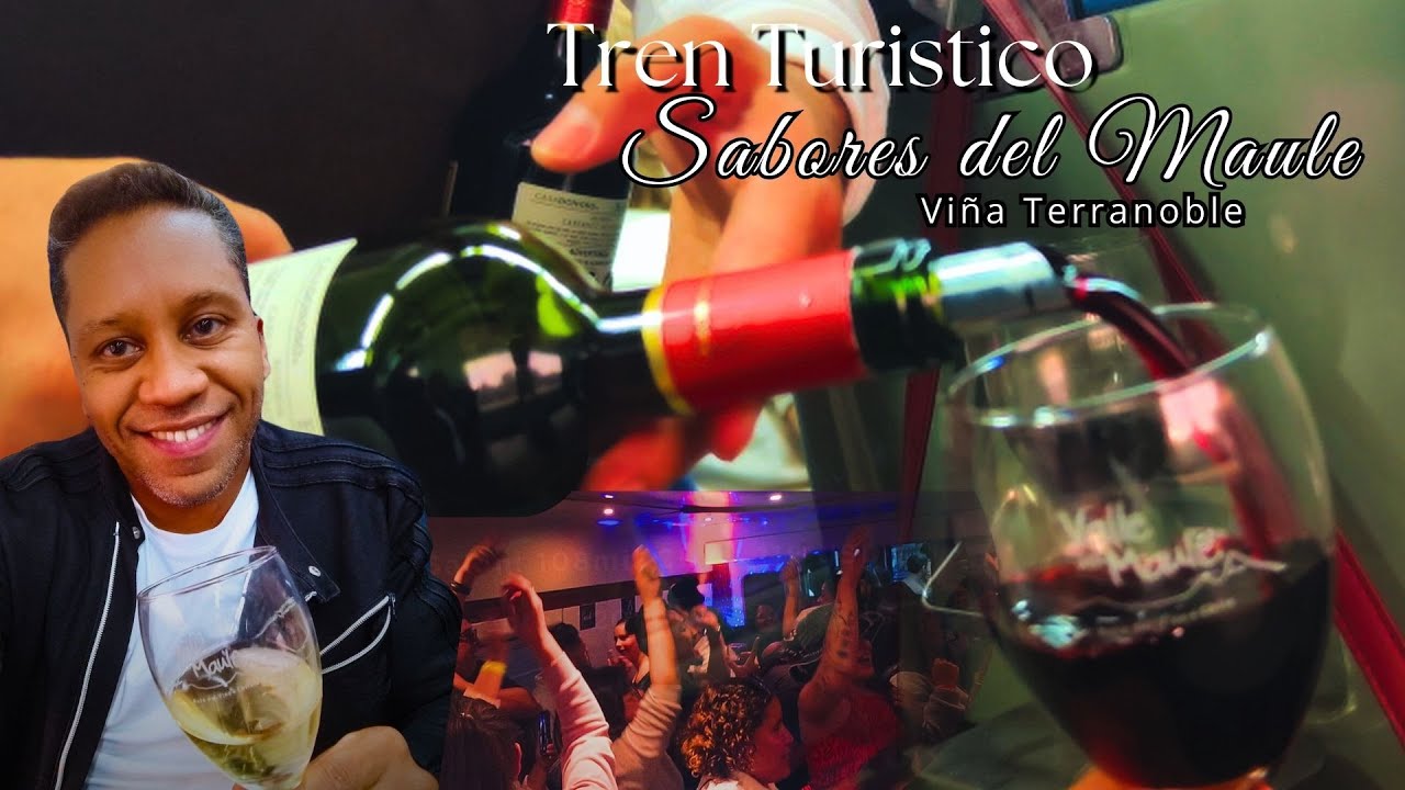 Descubre el tren mas divertido de Chile 🚄🍷