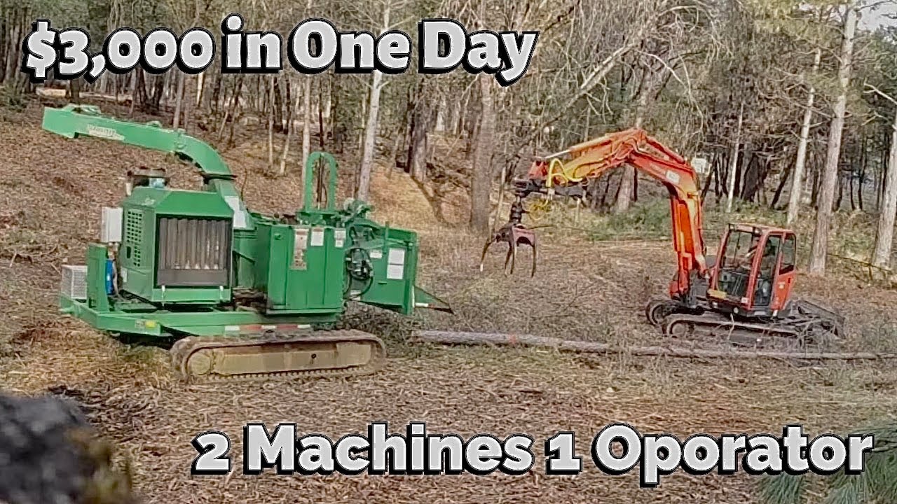 chipping 200+ trees in 5 hours
