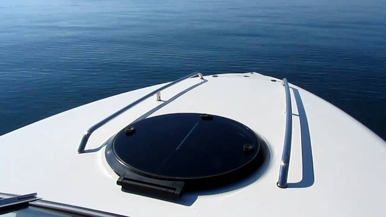 Stingray 205