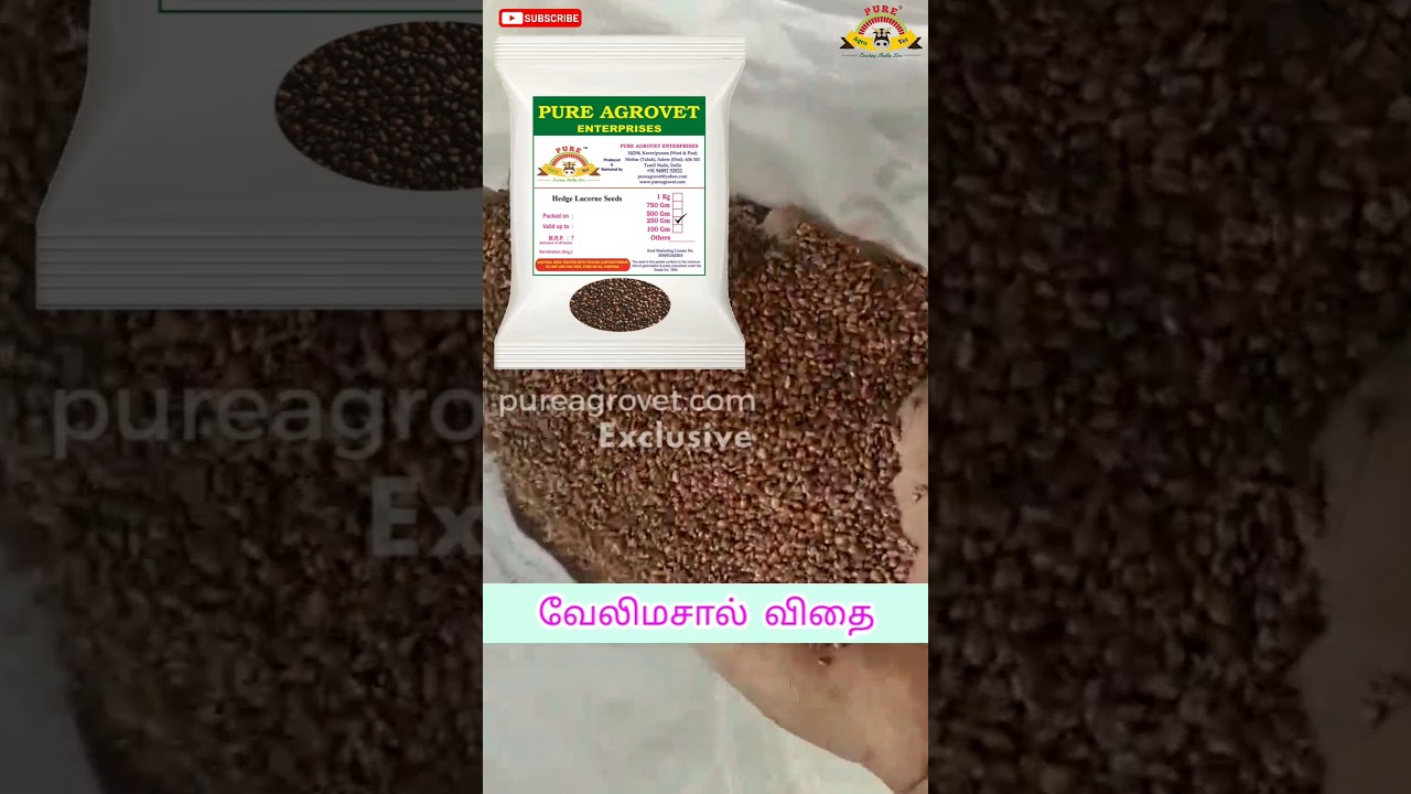 வேலிமசால் விதை || Velimasal Seed #seeds #agriculture #farming #animals #shorts #feed #video #viral