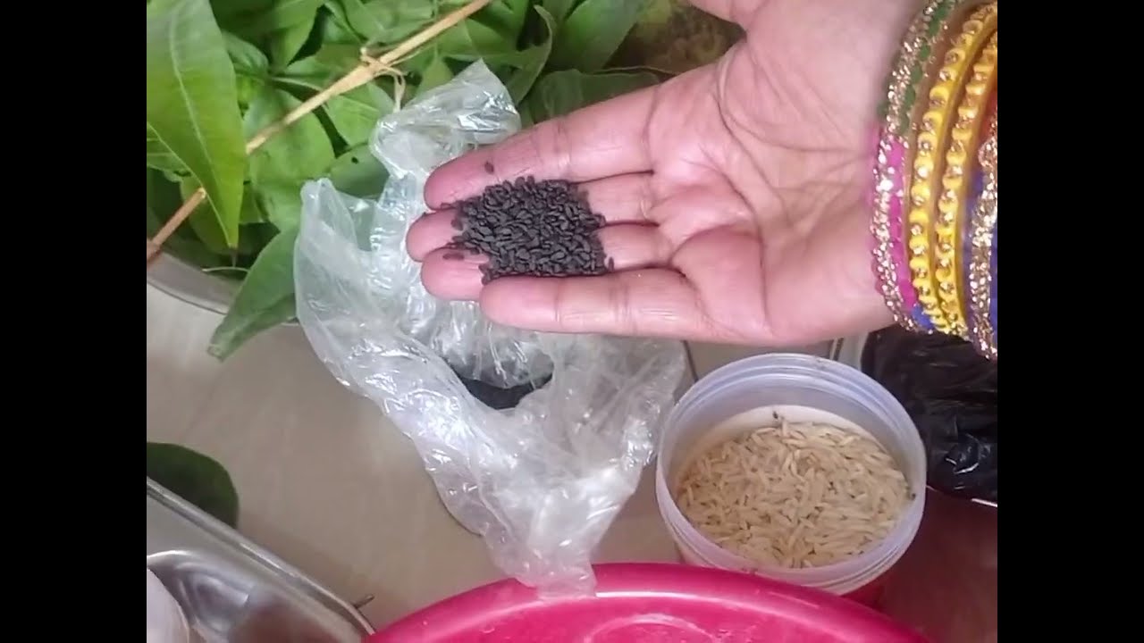 शिवरात्रि के दिन घर पर हुआ रुद्राभिषेक। कुछ झलकियां। क्या-क्या सामग्री लगी और कैसे किया अभिषेक।