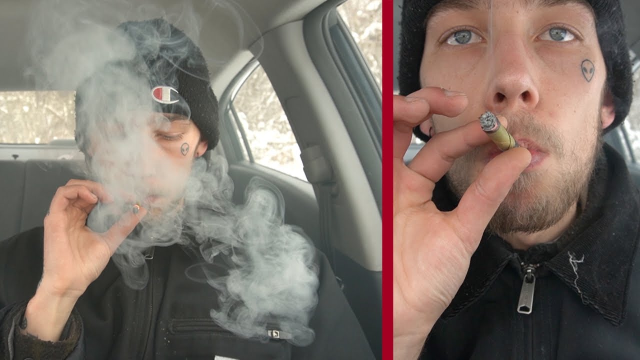 KING PALM HOTBOX