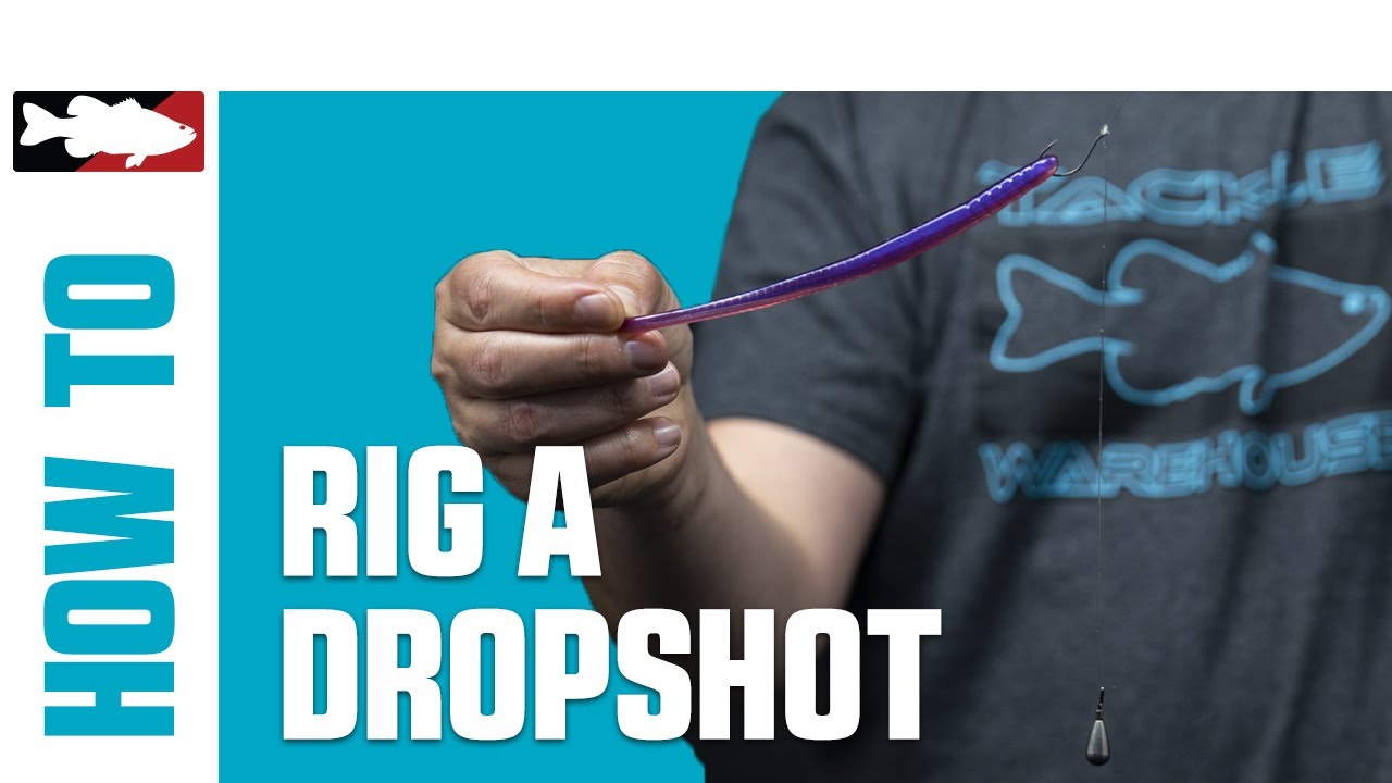 Как оснастить приманку Drop Shot &mdash; самый эффективный и изящный метод ловли окуня