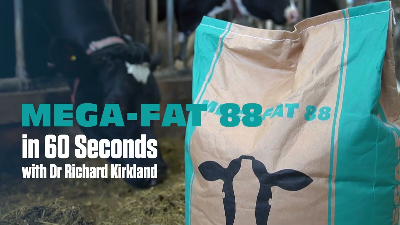 Mega-Fat 88 in 60 seconds - Volac Wilmar Feed Ingredients