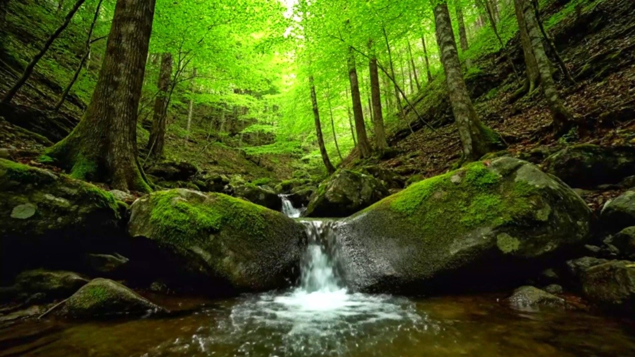 RIVER FLOW ASMR | NATURAL WATER SOUNDS FOR SLEEP, STUDY, AND CALMING YOUR MIND